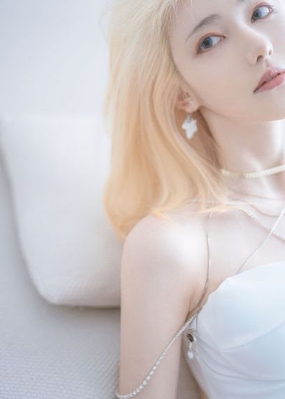 女警花之夜三级