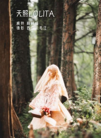 后宫电视剧