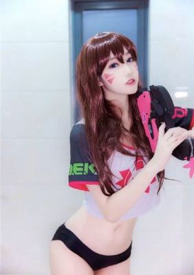 细狗网页版登录入口